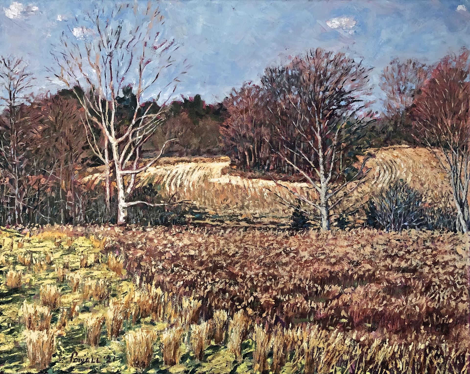 Winter Fields